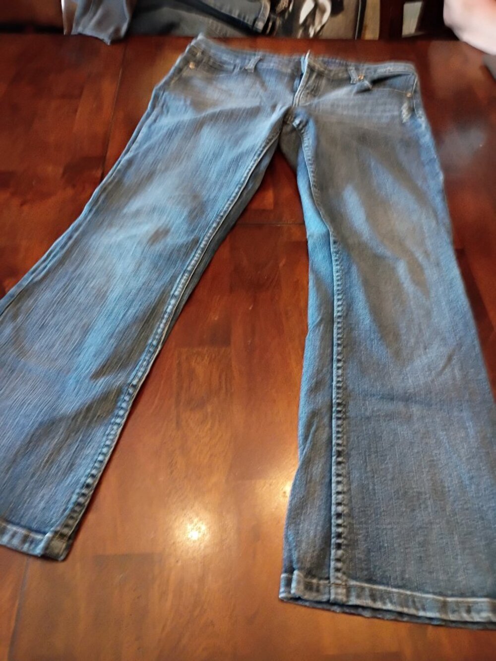 Vigoss Vintage Flare Denim Pants